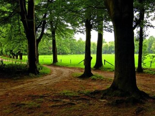 Vakantiehuis Boornzwaag Omgeving 36
