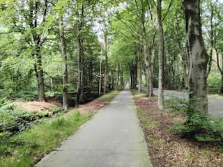 Ferienhaus Boornzwaag Umgebung 31