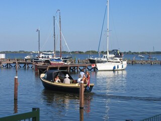 Ferienhaus Balk Umgebung 19