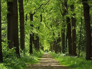 Vakantiehuis Balk Omgeving 19