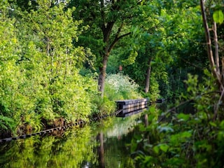 Vakantiehuis Balk Omgeving 31