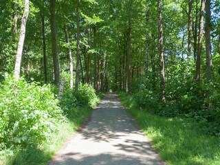 Vakantiehuis Oudemirdum Omgeving 19