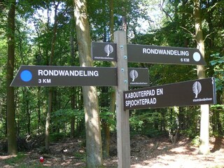 Vakantiehuis Oudemirdum Omgeving 21