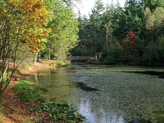 Casa per le vacanze Oudemirdum Ambiente 35