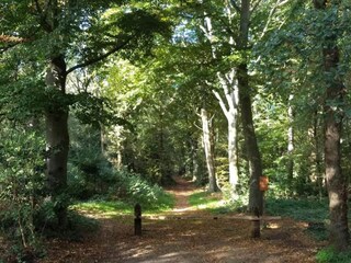 Ferienhaus Oudemirdum Umgebung 31