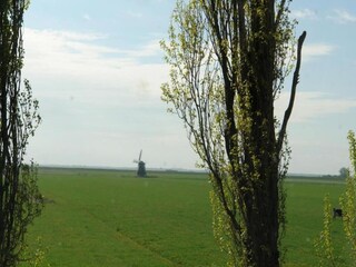 Vakantiehuis Oudemirdum Omgeving 33