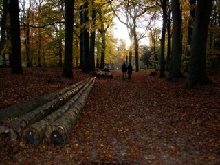 Vakantiehuis Oudemirdum Omgeving 27