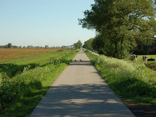 Vakantiehuis Workum Omgeving 31