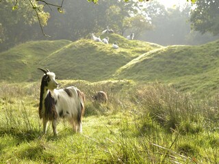 Ferienhaus Warns Umgebung 36