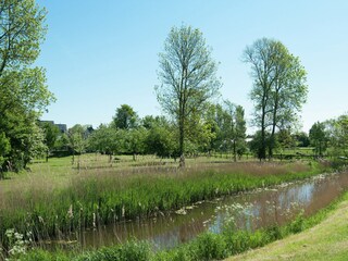 Maison de vacances Warns Environnement 32
