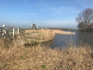 Vakantiehuis Warns Omgeving 34