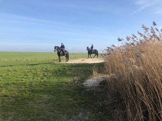 Vakantiehuis Warns Omgeving 32