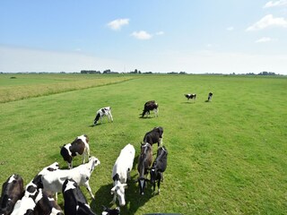 Boerderij Arum Buitenaudio-opname 11