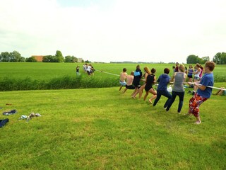 Farmhouse Arum Outdoor Recording 7