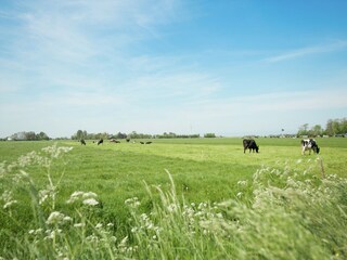 Vakantiehuis Easterein Omgeving 26
