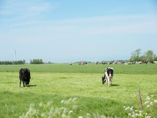 Vakantiehuis Easterein Omgeving 25