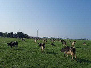 Vakantiehuis Easterein Buitenaudio-opname 3