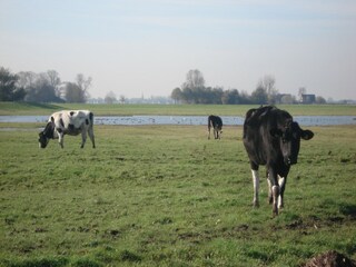Ferienhaus Easterein Umgebung 22