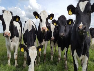 Casa de vacaciones Easterein Entorno 30