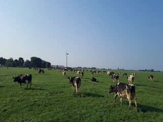 Vakantiehuis Easterein Buitenaudio-opname 6