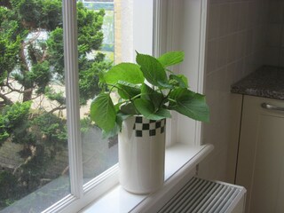 Maison de vacances Harlingen  40