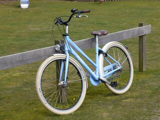 Appartement Hollum Omgeving 36