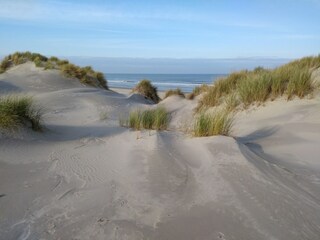 Apartamento Hollum Entorno 30