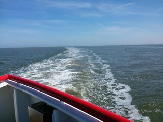 Apartment Hollum Environment 36