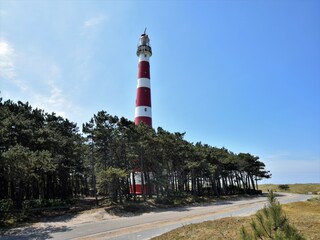 Appartement Hollum Environnement 33