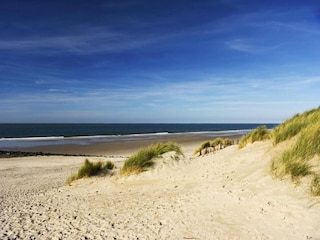 Appartement Hollum Environnement 32