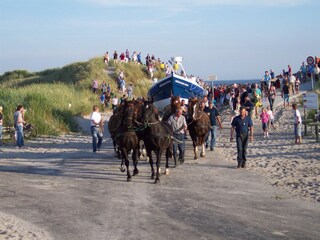 Vakantiehuis Nes  25