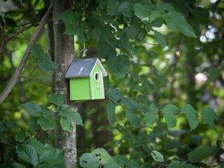 Casa de vacaciones Nes  38