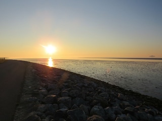 Casa per le vacanze Nes  38