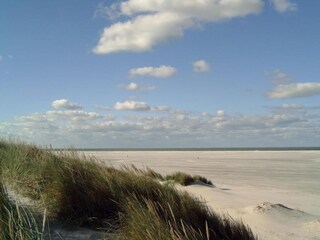 Vakantiehuis Nes Omgeving 31