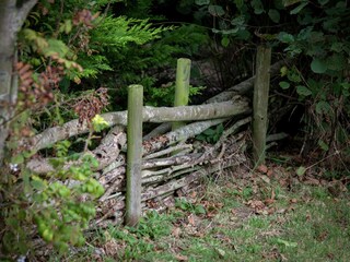 Casa de vacaciones Nes  40