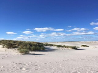 Vakantiehuis Nes Omgeving 22