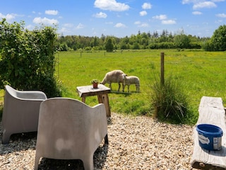 Ferienhaus Drijber Außenaufnahme 2