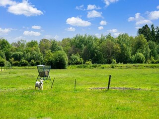 Casa de vacaciones Drijber Grabación al aire libre 10