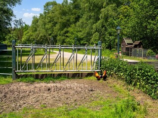 Vakantiehuis Drijber Omgeving 37