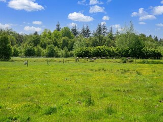 Vakantiehuis Drijber Omgeving 36