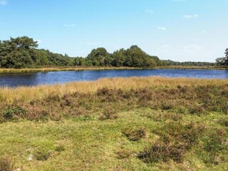 Vakantiehuis Drijber Omgeving 38