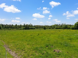 Ferienhaus Drijber Umgebung 38