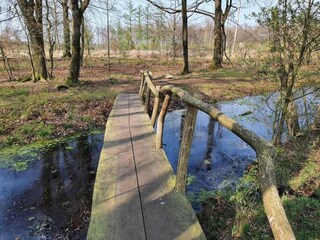 Vakantiehuis Drijber Omgeving 26