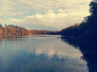 Vakantiehuis Drijber Omgeving 30