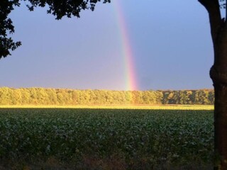 Vakantiehuis Drijber Omgeving 33