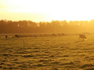 Casa per le vacanze Drijber Ambiente 35