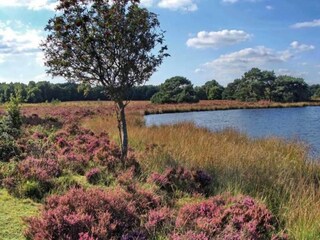 Vakantiehuis Drijber Omgeving 37