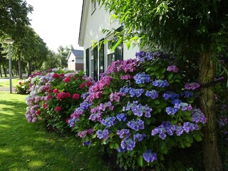 Ferienhaus Steendam  40