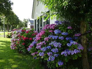 Vakantiehuis Steendam  36