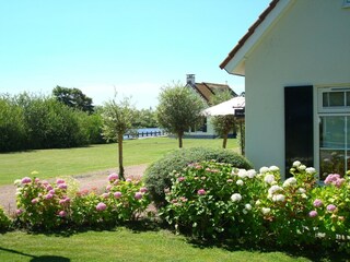 Ferienhaus Steendam Außenaufnahme 11